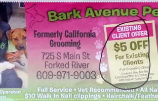 Bark Avenue Pet Salon in Forked River 609 971 9003